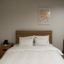 헤이, 서귀포 | 제주도 서귀포 가성비 숙소 추천! 헤이서귀포 호텔 내돈내산 후기