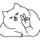 송또리네