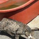 강동로-40 이미지