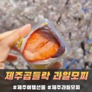 제주 여행선물 제주곱들락과일모찌
