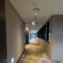 디 아넥스 | 제주도 디아넥스 호텔 수영장 아라고나이트 고온천 조식 솔직 후기