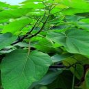 제이비 디자인 호텔 | 해운대<여행> 고급명품 힐링주택 하이엔드 아크로 해운대, 관심고객 등록 홈페이지 'ACRO. HAEUNDAE...