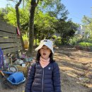 11월1주 종이 비행기&amp;자유여행(산굼부리) 이미지