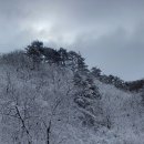 라구요~ 이미지