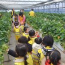 세인농장 이미지