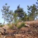 재철농장 이미지