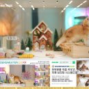 일신자원환경 | 브리티시숏헤어골드 입양으로 찾은 시골생활의 진정한 동반자