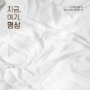 미다스 시선뉴스
