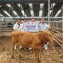 경기수정란이식센터 이미지