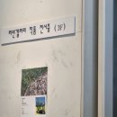 콩부인 더오븐 이미지