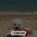 학곡사거리막국수닭갈비 이미지