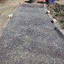 꿀시봉