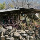 중산초등학교 이미지