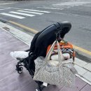 도도아이덴티티 이미지