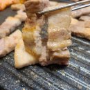 싱싱축산물