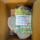 연두농장 | 류가네 농장 싱싱메론/연두네 메론 *10년째 내돈내산 구매 후기