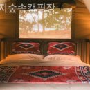 숲속캠핑장 이미지