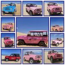 치마골농장 | 근교 판랑 사막투어//호아 드라이버 나트랑/양 농장, 포클롱자라이 사원, 판랑 사막//포시즌 레스토랑