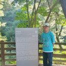 부소산성 낙화암 갈림길 이미지