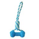 덴탈투유 이미지