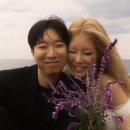 세우