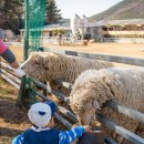 한우드림 이미지