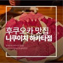 야키니쿠 요시 | [후쿠오카] 후쿠오카 맛집 니쿠이치 하카타점 후기ㅣ야키니쿠 전문점 솔직 후기ㅣ부모님 아이 동반 후기