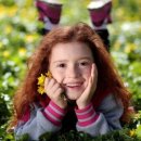 시골서재 이미지