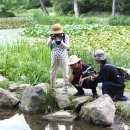 광릉수목원 이미지