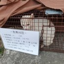 남산동물병원 이미지