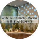 마음셈정신건강의학과의원 | [공지] 병원 실내조경 인테리어 | 정신건강의학과 대기실 플랜테리어 시공 문의 |