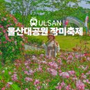 화요문화산책_루체앙상블 <열정과 힐링 사이> | 울산대공원 장미축제 기본정보 라인업 주차 가볼만한곳