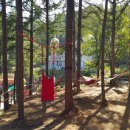 숲속의평창 이미지