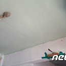 금지농약사 이미지