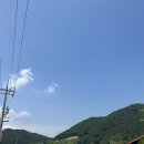 옥과농협 겸면지점 | 스페셜 포토덤프 3주차 #외할머니댁 곡성여행 염소고기 겸면막걸리 찐시골여행