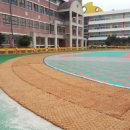 서울종암초등학교 이미지