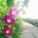 낙천대2 이미지