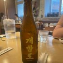 신포맛집 티스토리