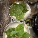 바라봄대구 | 대구 서구 싸이도 다녀간 맛집 불난배꼽 솔직후기