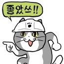 일본 숙소 풀만 도쿄 타마치 풀먼 도쿄 타마시 호텔 디럭스룸 후기