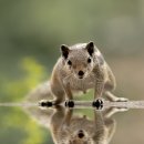 한양스크린골프 이미지