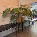 초보탁구교실 이미지