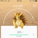 신라부화장 네이버블로그
