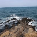 디아일랜드블루호텔 이미지