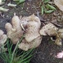 소일농장 이미지