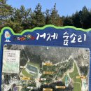 태일 목장 | 거제도 양떼목장 체험 숲소리공원 아이들이 놀기 딱 좋아