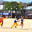 안동서부초등학교 이미지