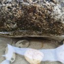 키즈펀펀 실내놀이터 이미지