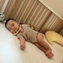 엄마랑 해피베베 6-11개월B | 8개월 아기 발달사항ㅣ잡고 서기ㅣ아기랑 놀아주기ㅣ윗니ㅣ이유식