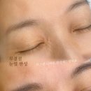 착한눈썹